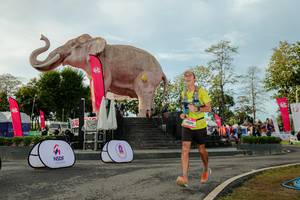 BIB: 
                            <button type="button" onclick="openModal(26529208)" class="btn btn-primary btn-sm float-right btn-popup" data-toggle="modal" data-target=".modal-high-quality">
                        <i class="fas fa-shopping-cart"></i> Add to Cart
                    </button>
                                            <button type="button" onclick="isThisMe(26529208, true)" class="btn btn-success btn-sm float-right btn-popup btn-isme hidden" data-toggle="tooltip" data-placement="bottom" title="นี่คือรูปของคุณใช่ไหม คลิกที่นี่เพื่อเอาเข้าอัลบั้ม">
                        <i class="fas fa-plus"></i> Add to album
                    </button>
                    <button type="button" onclick="isThisMe(26529208, false)" class="btn btn-warning btn-sm float-right btn-popup btn-isnotme hidden">
                        <i class="fas fa-ban"></i> Remove from album
                    </button>